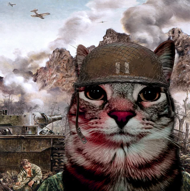 a cat dressed as a WWII soldier